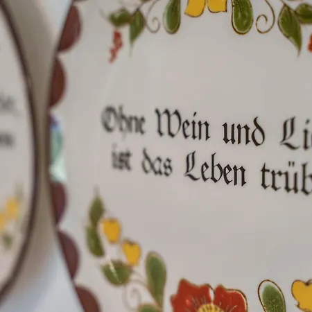 Apartment Lehmann Mit Blick Aufs Schloss *