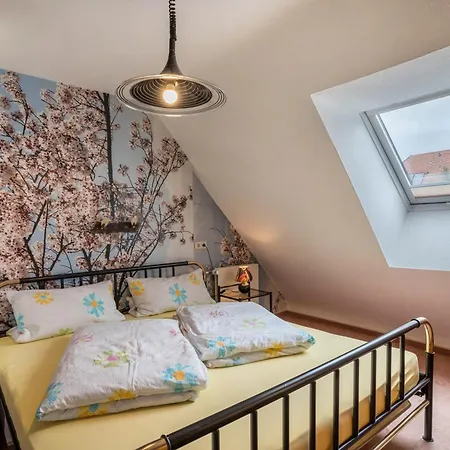 Lehmann Mit Blick Aufs Schloss *