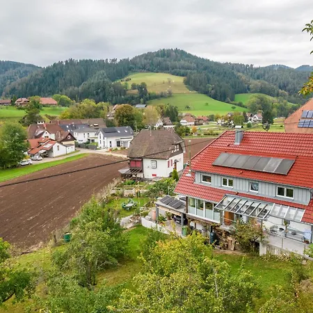 Lehmann Mit Blick Aufs Schloss Lägenhet Gutach