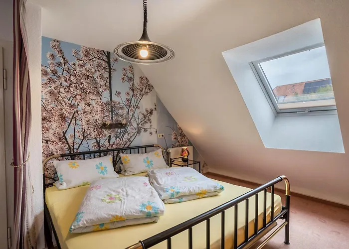 Lehmann Mit Blick Aufs Schloss *